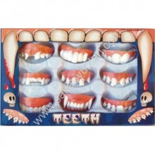 KUTUDA 9 ADET DEGİŞİK DİŞ ÇEŞİTLERİ