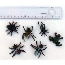 KARIŞIK SİYAH BÖCEKLER ( 1 ADEDİ )