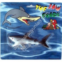 AKVARYUM KÖPEK BALIĞI