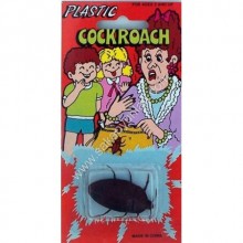 KARTELADA HAMAM BÖCEĞİ