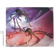 DEV ÖRÜMCEK (80 CM)