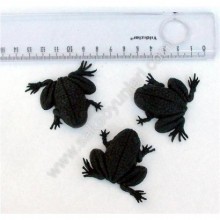 SİYAH KURBAĞA ( 1 ADEDİ )