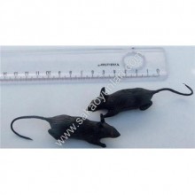 KUKLA FARE ( 1 ADEDİ )