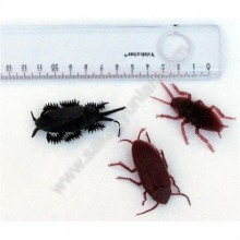 HAMAM BÖCEKLERİ ( 1 ADEDİ )