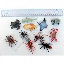 TROPİKAL RENKLİ BÖCEKLER ( 1 ADEDİ )