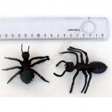 ORTA KARINCA & BÜYÜK KARINCA ( 1 ADEDİ )