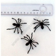 SERT ÖRÜMCEK ( 1 ADEDİ )