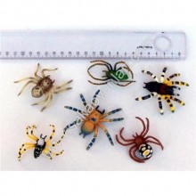 TROPİKAL RENKLİ ÖRÜMCEKLER ( 1 ADEDİ )