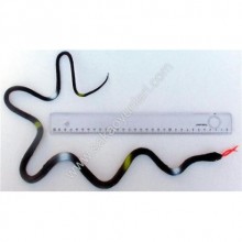 OYUNCAK UZUN YILAN (70 CM)