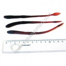 UFAK SOLUCAN (13 CM) ( 1 ADEDİ )