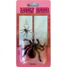 CAMDA YÜRÜYEN SEVİMLİ ÖRÜMCEK